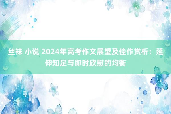 丝袜 小说 2024年高考作文展望及佳作赏析：延伸知足与即时欣慰的均衡