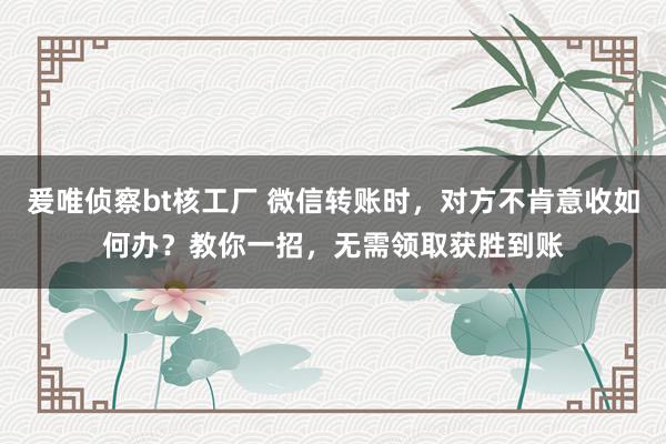 爰唯侦察bt核工厂 微信转账时，对方不肯意收如何办？教你一招，无需领取获胜到账