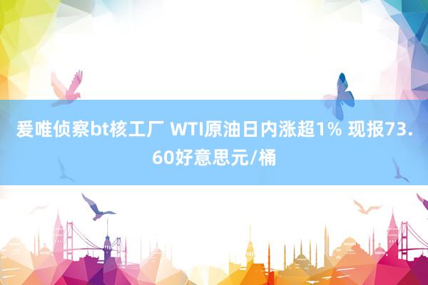 爰唯侦察bt核工厂 WTI原油日内涨超1% 现报73.60好意思元/桶