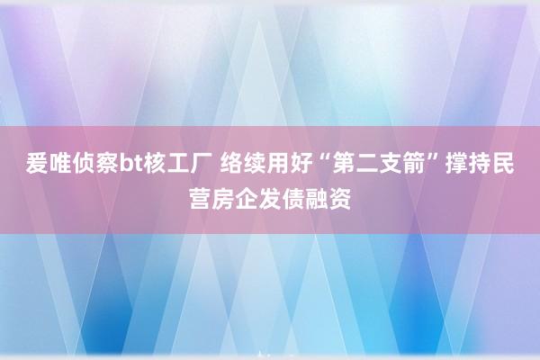 爰唯侦察bt核工厂 络续用好“第二支箭”撑持民营房企发债融资