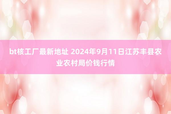 bt核工厂最新地址 2024年9月11日江苏丰县农业农村局价钱行情