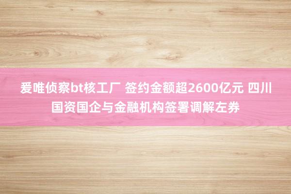 爰唯侦察bt核工厂 签约金额超2600亿元 四川国资国企与金融机构签署调解左券