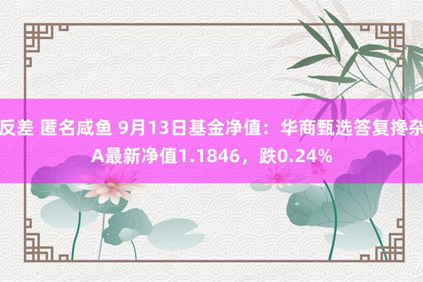 反差 匿名咸鱼 9月13日基金净值：华商甄选答复搀杂A最新净值1.1846，跌0.24%