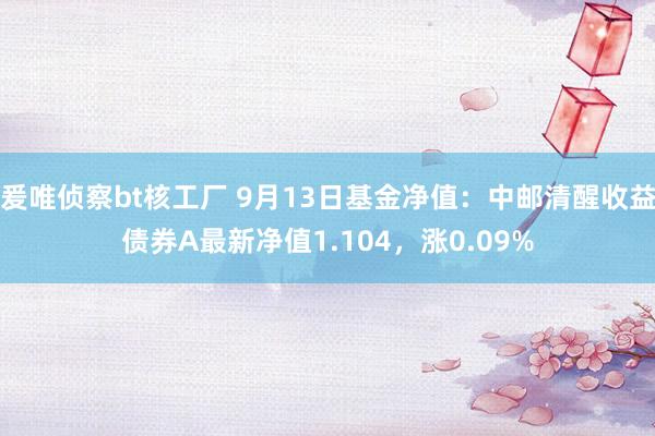 爰唯侦察bt核工厂 9月13日基金净值：中邮清醒收益债券A最新净值1.104，涨0.09%