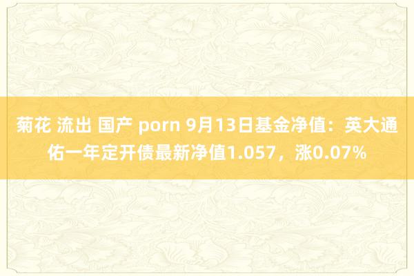 菊花 流出 国产 porn 9月13日基金净值：英大通佑一年定开债最新净值1.057，涨0.07%