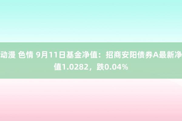 动漫 色情 9月11日基金净值：招商安阳债券A最新净值1.0282，跌0.04%