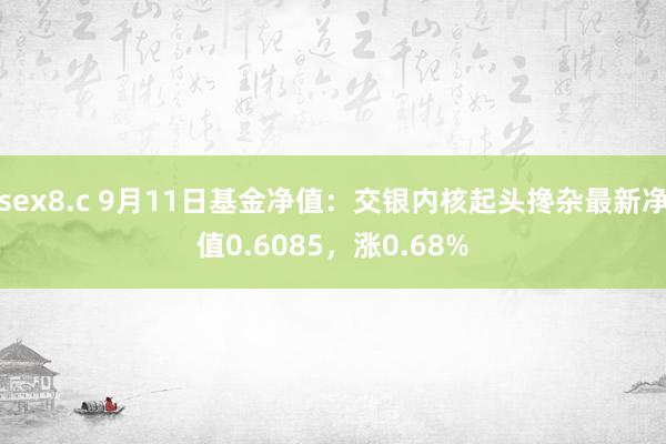 sex8.c 9月11日基金净值：交银内核起头搀杂最新净值0.6085，涨0.68%