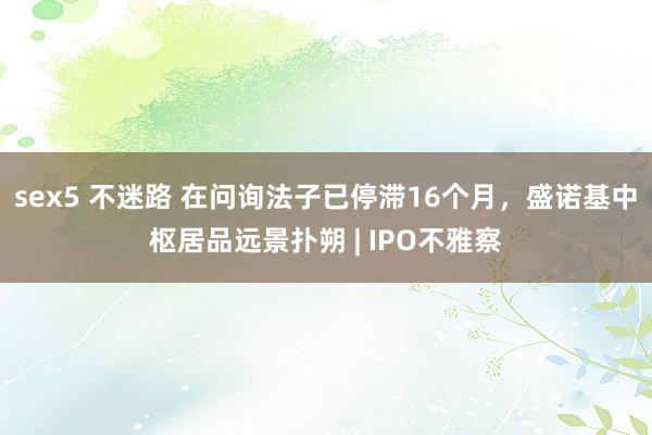 sex5 不迷路 在问询法子已停滞16个月，盛诺基中枢居品远景扑朔 | IPO不雅察