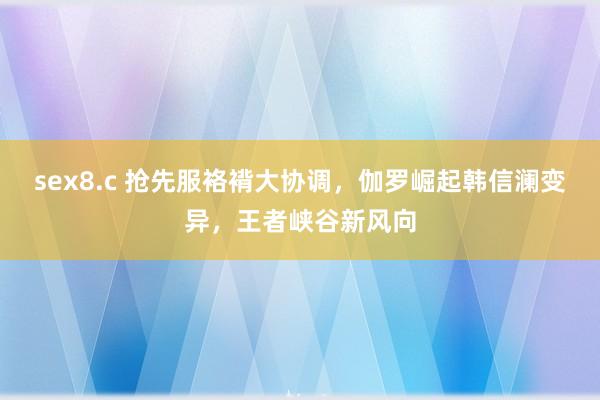 sex8.c 抢先服袼褙大协调，伽罗崛起韩信澜变异，王者峡谷新风向