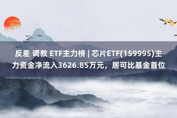 反差 调教 ETF主力榜 | 芯片ETF(159995)主力资金净流入3626.85万元，居可比基金首位