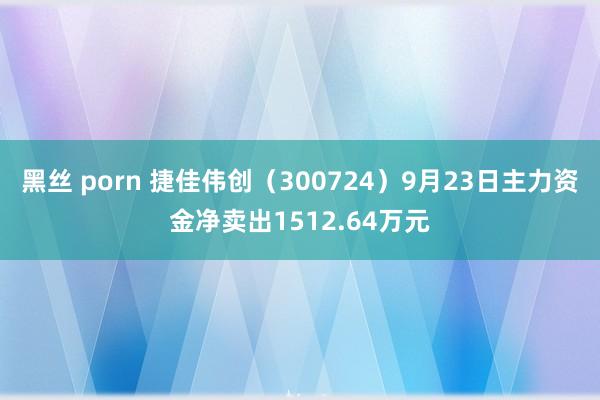 黑丝 porn 捷佳伟创（300724）9月23日主力资金净卖出1512.64万元