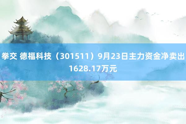 拳交 德福科技（301511）9月23日主力资金净卖出1628.17万元