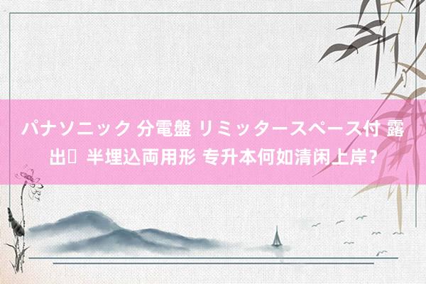 パナソニック 分電盤 リミッタースペース付 露出・半埋込両用形 专升本何如清闲上岸？