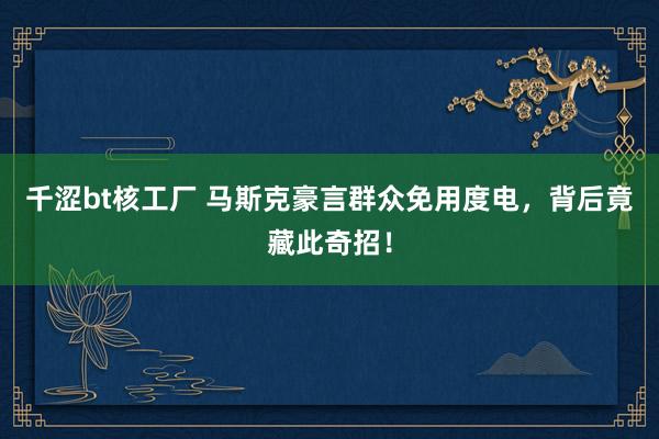 千涩bt核工厂 马斯克豪言群众免用度电，背后竟藏此奇招！