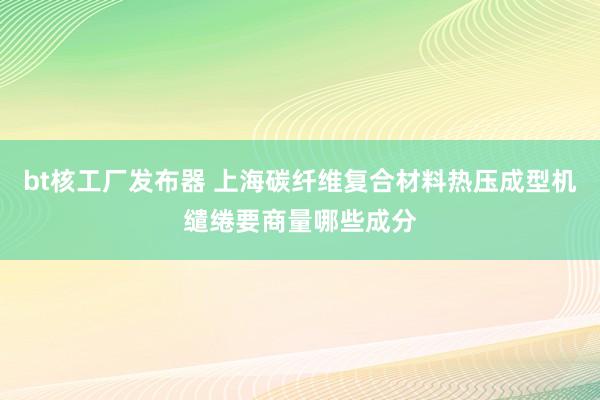 bt核工厂发布器 上海碳纤维复合材料热压成型机缱绻要商量哪些成分