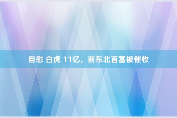 自慰 白虎 11亿，前东北首富被催收