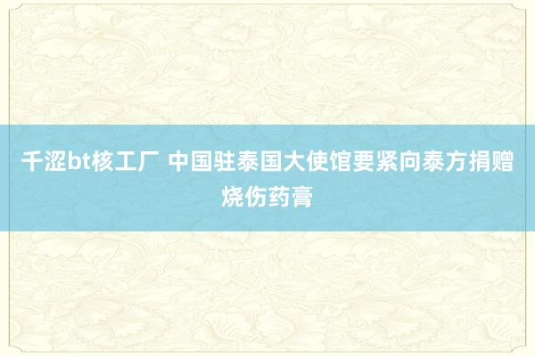 千涩bt核工厂 中国驻泰国大使馆要紧向泰方捐赠烧伤药膏