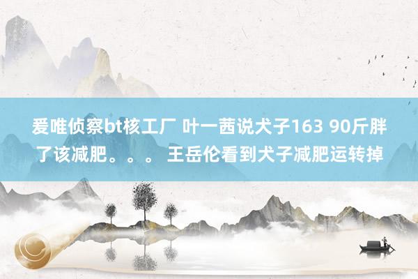 爰唯侦察bt核工厂 叶一茜说犬子163 90斤胖了该减肥。。。 王岳伦看到犬子减肥运转掉