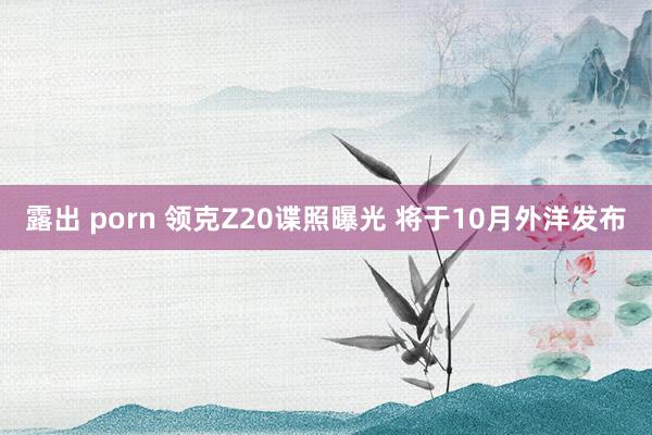 露出 porn 领克Z20谍照曝光 将于10月外洋发布