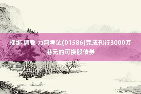 捆绑 调教 力鸿考试(01586)完成刊行3000万港元的可换股债券