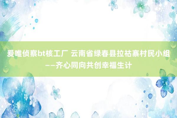 爰唯侦察bt核工厂 云南省绿春县拉祜寨村民小组——齐心同向共创幸福生计