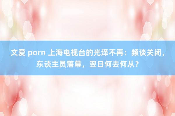 文爱 porn 上海电视台的光泽不再：频谈关闭，东谈主员落幕，翌日何去何从？