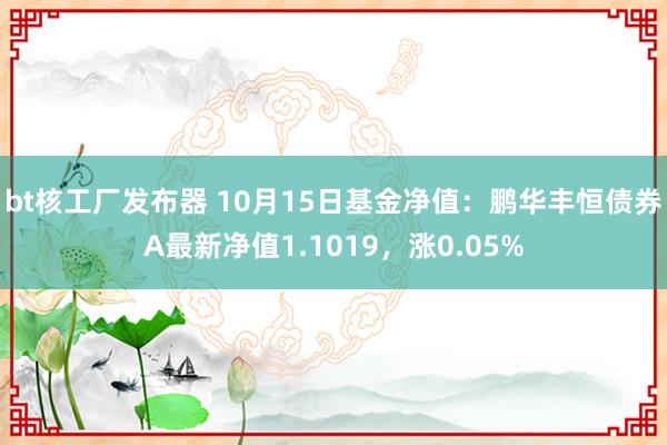 bt核工厂发布器 10月15日基金净值：鹏华丰恒债券A最新净值1.1019，涨0.05%