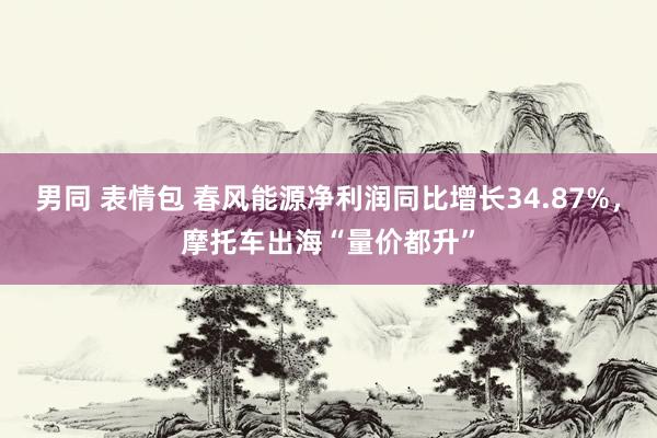 男同 表情包 春风能源净利润同比增长34.87%，摩托车出海“量价都升”