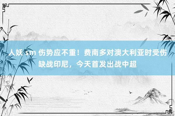 人妖 sm 伤势应不重！费南多对澳大利亚时受伤缺战印尼，今天首发出战中超