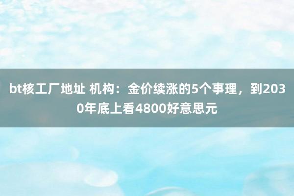 bt核工厂地址 机构：金价续涨的5个事理，到2030年底上看4800好意思元