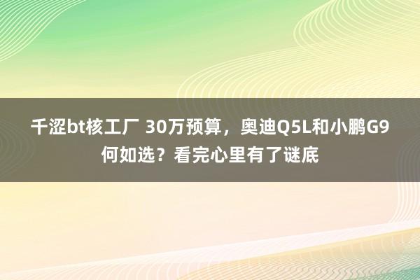 千涩bt核工厂 30万预算，奥迪Q5L和小鹏G9何如选？看完心里有了谜底