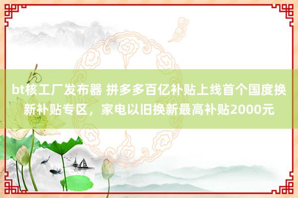 bt核工厂发布器 拼多多百亿补贴上线首个国度换新补贴专区，家电以旧换新最高补贴2000元