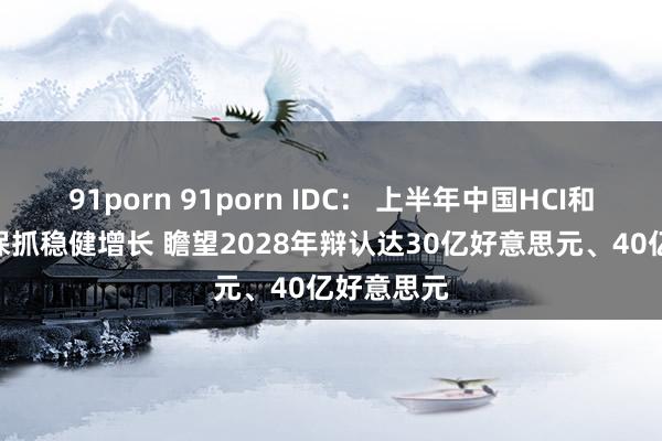 91porn 91porn IDC： 上半年中国HCI和SDS市集保抓稳健增长 瞻望2028年辩认达30亿好意思元、40亿好意思元