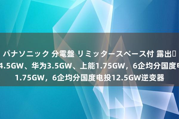 パナソニック 分電盤 リミッタースペース付 露出・半埋込両用形 阳光4.5GW、华为3.5GW、上能1.75GW，6企均分国度电投12.5GW逆变器