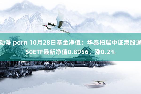 动漫 porn 10月28日基金净值：华泰柏瑞中证港股通50ETF最新净值0.8956，涨0.2%