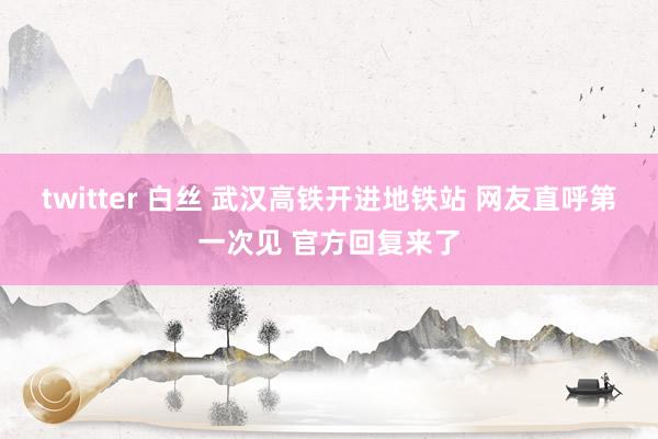 twitter 白丝 武汉高铁开进地铁站 网友直呼第一次见 官方回复来了