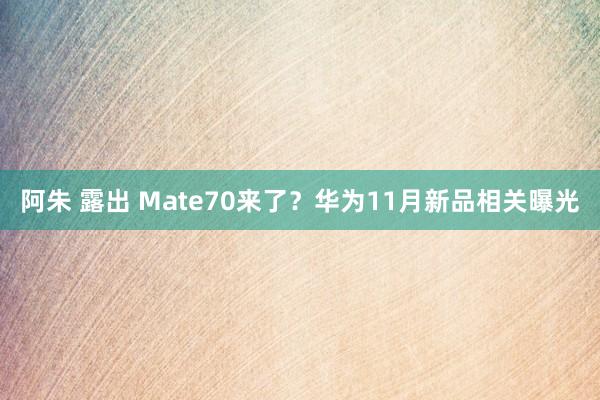 阿朱 露出 Mate70来了？华为11月新品相关曝光