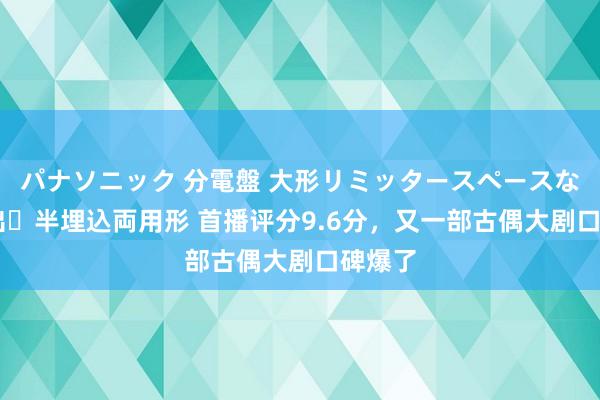 パナソニック 分電盤 大形リミッタースペースなし 露出・半埋込両用形 首播评分9.6分，又一部古偶大剧口碑爆了