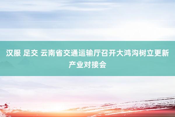 汉服 足交 云南省交通运输厅召开大鸿沟树立更新产业对接会