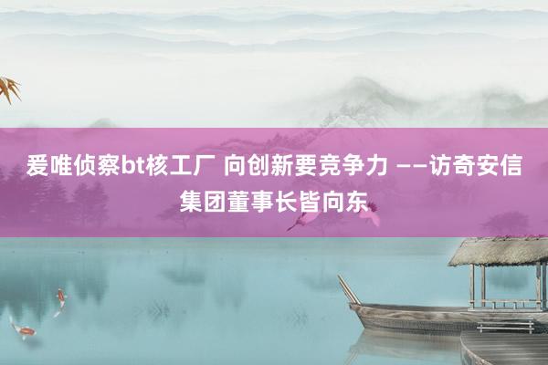 爰唯侦察bt核工厂 向创新要竞争力 ——访奇安信集团董事长皆向东