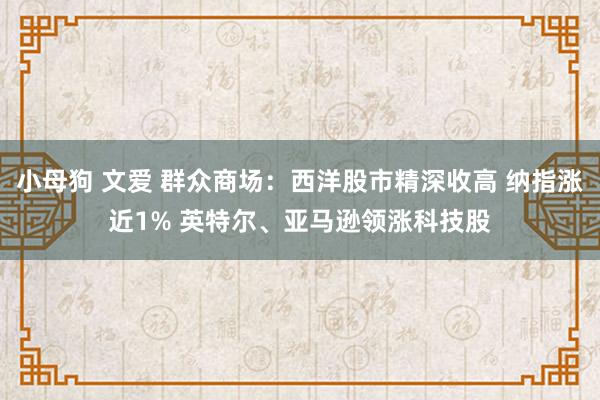 小母狗 文爱 群众商场：西洋股市精深收高 纳指涨近1% 英特尔、亚马逊领涨科技股