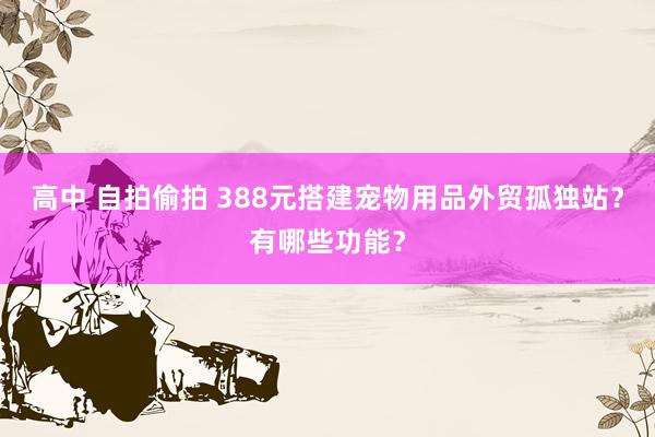 高中 自拍偷拍 388元搭建宠物用品外贸孤独站？有哪些功能？