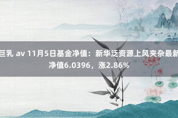 巨乳 av 11月5日基金净值：新华泛资源上风夹杂最新净值6.0396，涨2.86%