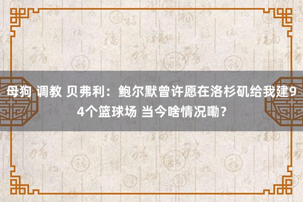 母狗 调教 贝弗利：鲍尔默曾许愿在洛杉矶给我建94个篮球场 当今啥情况嘞？