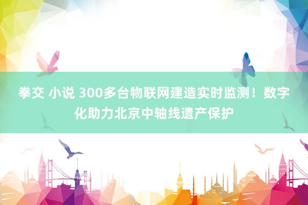 拳交 小说 300多台物联网建造实时监测！数字化助力北京中轴线遗产保护