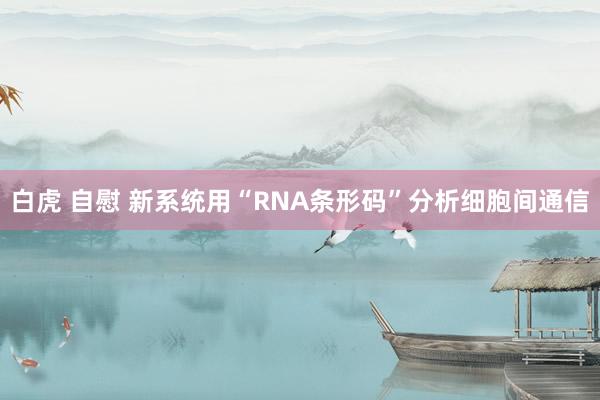 白虎 自慰 新系统用“RNA条形码”分析细胞间通信