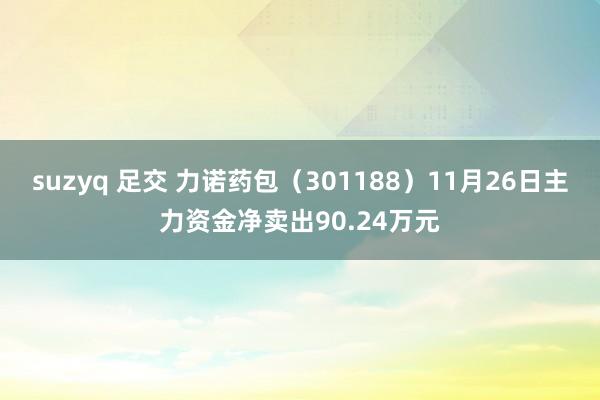 suzyq 足交 力诺药包（301188）11月26日主力资金净卖出90.24万元