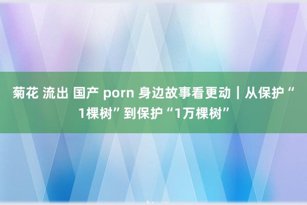 菊花 流出 国产 porn 身边故事看更动｜从保护“1棵树”到保护“1万棵树”