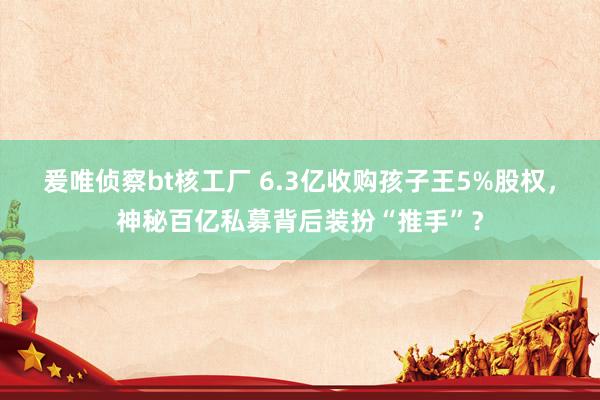 爰唯侦察bt核工厂 6.3亿收购孩子王5%股权，神秘百亿私募背后装扮“推手”？