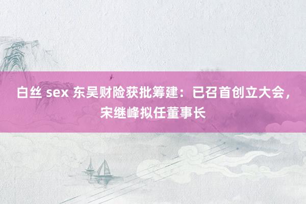 白丝 sex 东吴财险获批筹建：已召首创立大会，宋继峰拟任董事长